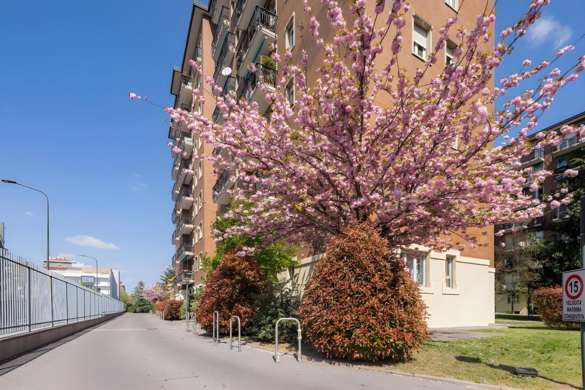 San Siro Arty And Cute Room - Homestay Con Bagno Privato Милан Экстерьер фото